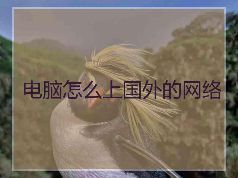 电脑怎么上国外的网络