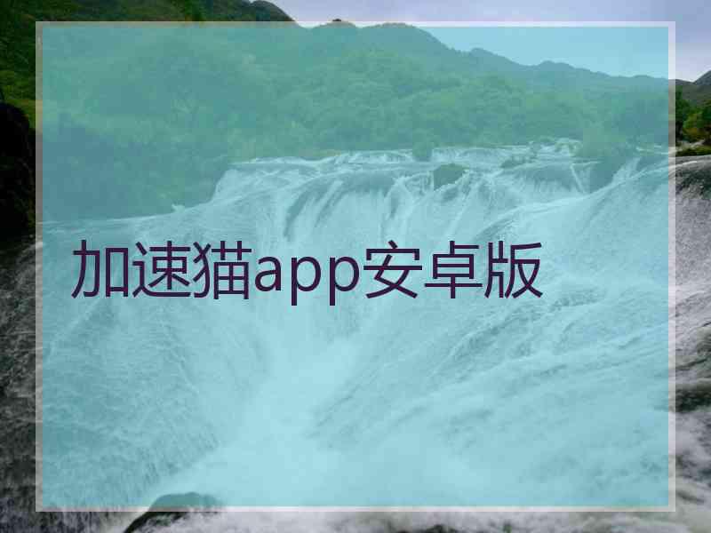 加速猫app安卓版