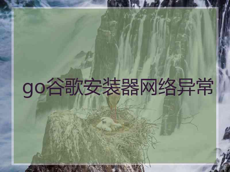 go谷歌安装器网络异常