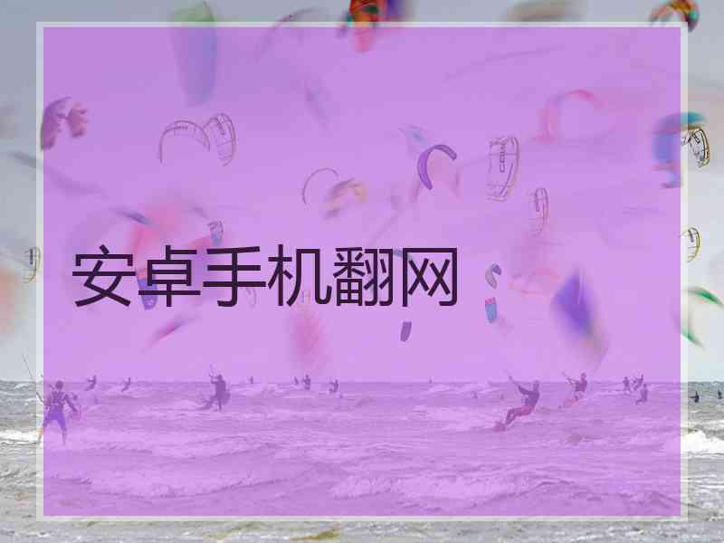 安卓手机翻网
