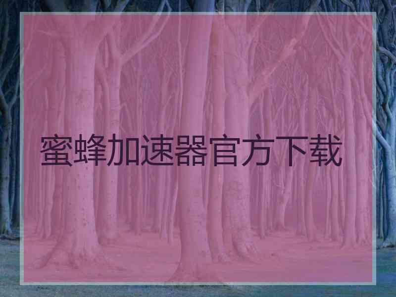 蜜蜂加速器官方下载
