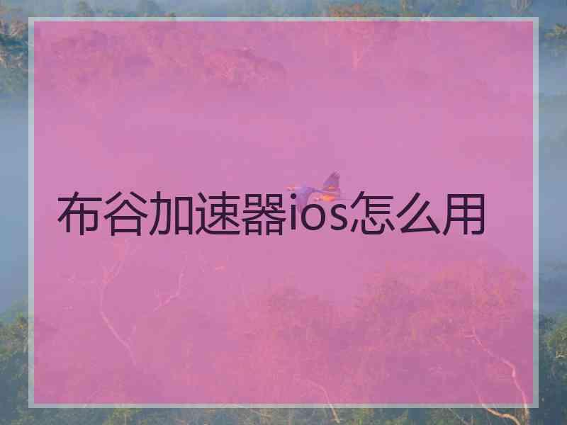 布谷加速器ios怎么用