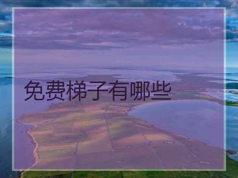 免费梯子有哪些