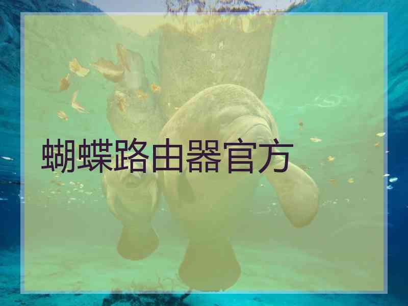 蝴蝶路由器官方