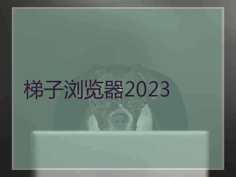 梯子浏览器2023
