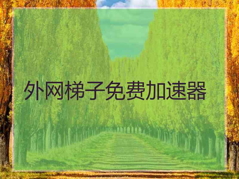 外网梯子免费加速器