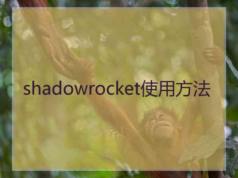 shadowrocket使用方法