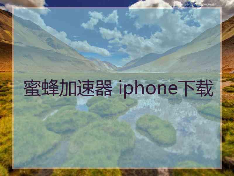 蜜蜂加速器 iphone下载