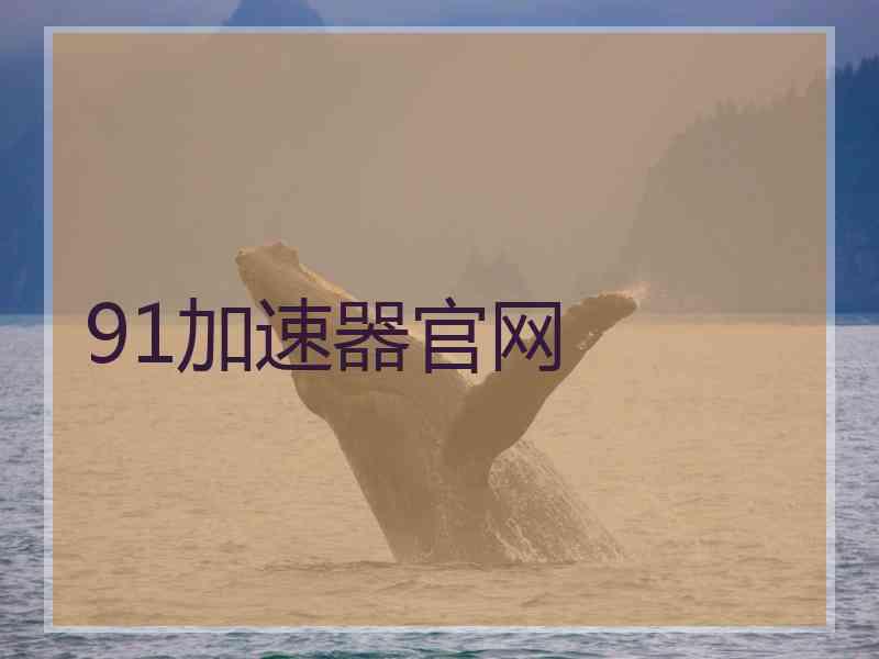 91加速器官网