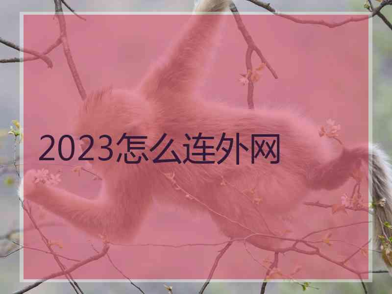 2023怎么连外网