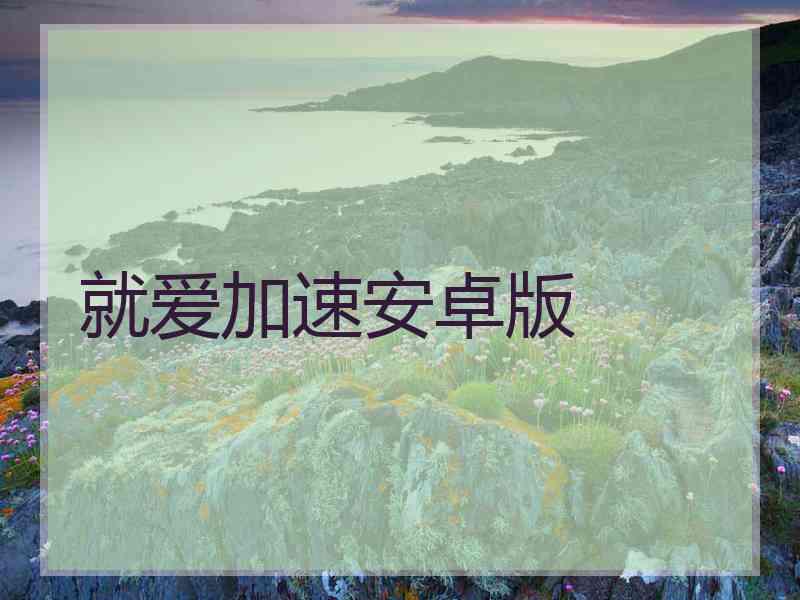 就爱加速安卓版