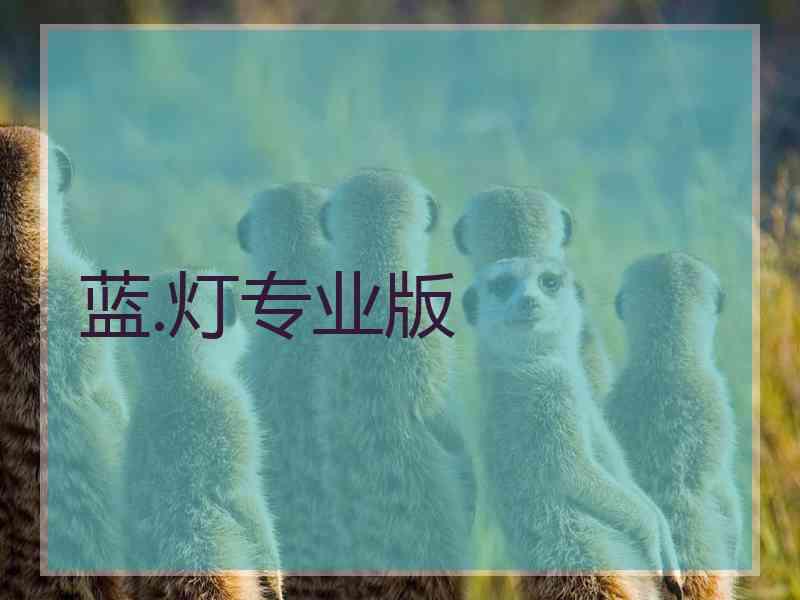 蓝.灯专业版