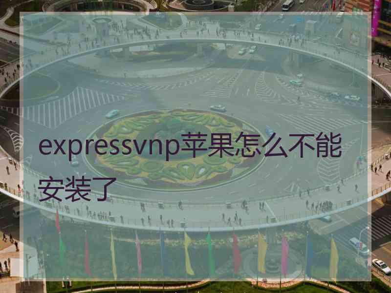 expressvnp苹果怎么不能安装了