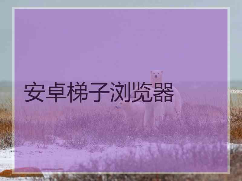 安卓梯子浏览器