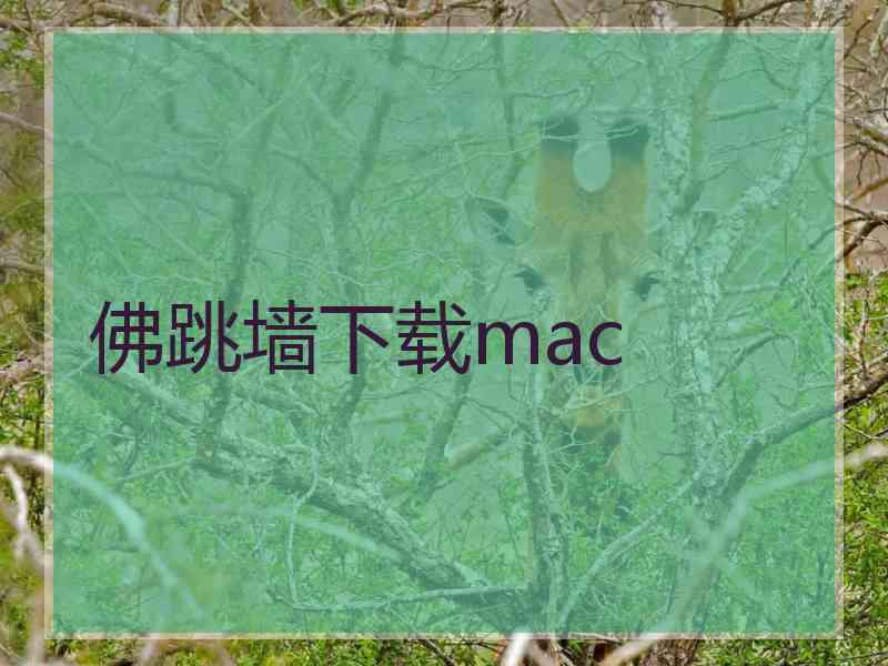 佛跳墙下载mac
