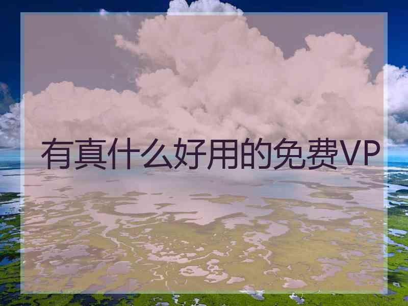 有真什么好用的免费VP