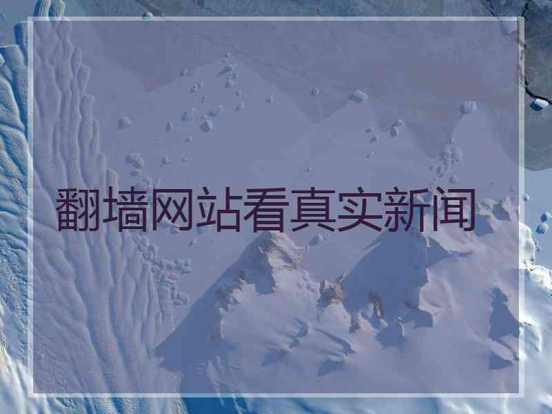 翻墙网站看真实新闻