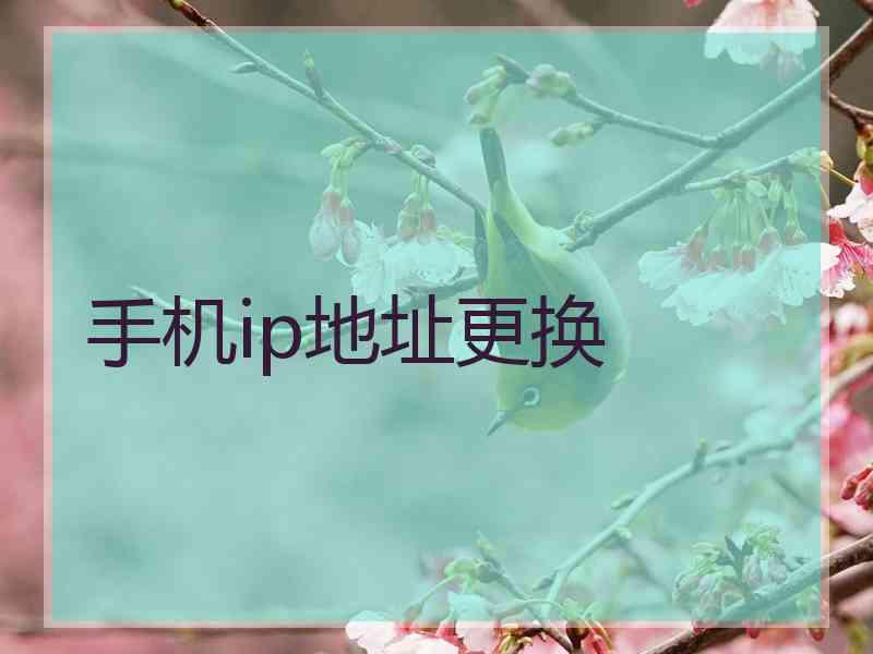 手机ip地址更换