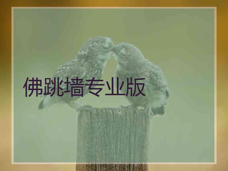 佛跳墙专业版