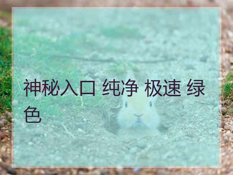 神秘入口 纯净 极速 绿色