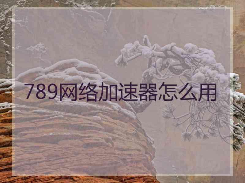 789网络加速器怎么用