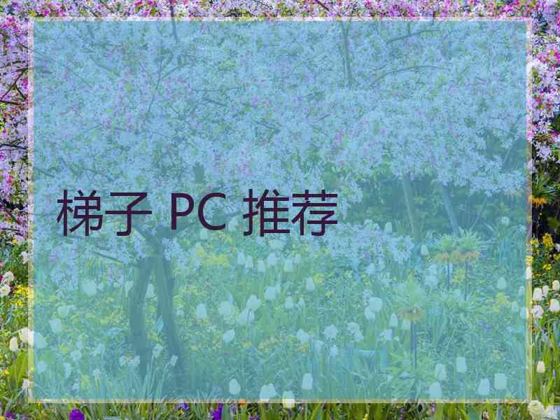 梯子 PC 推荐