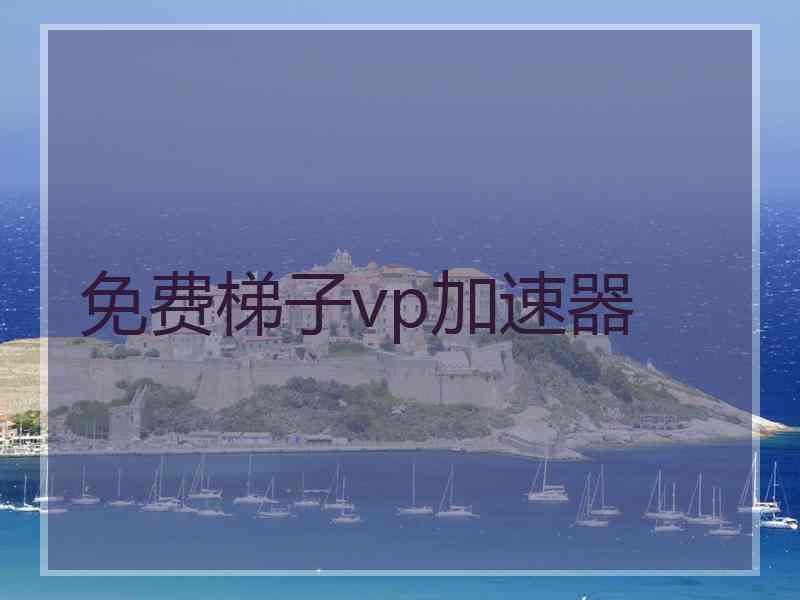 免费梯子vp加速器