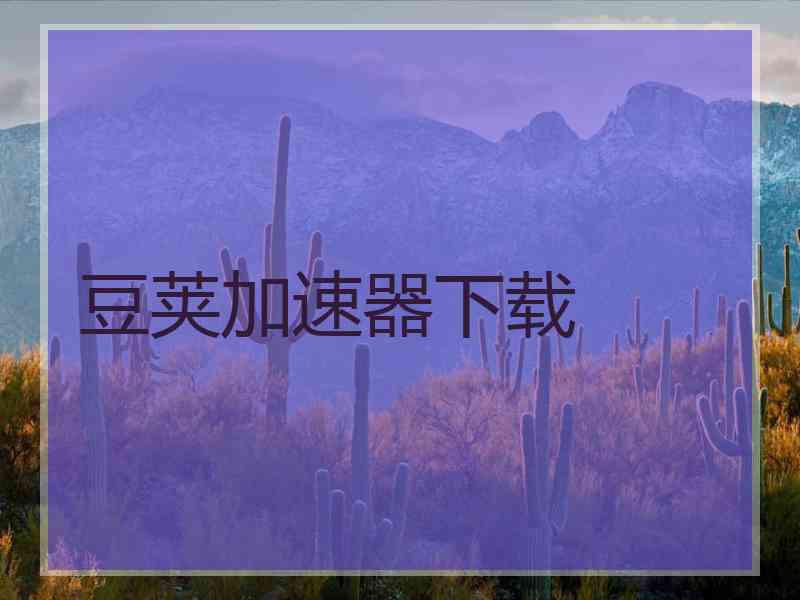 豆荚加速器下载