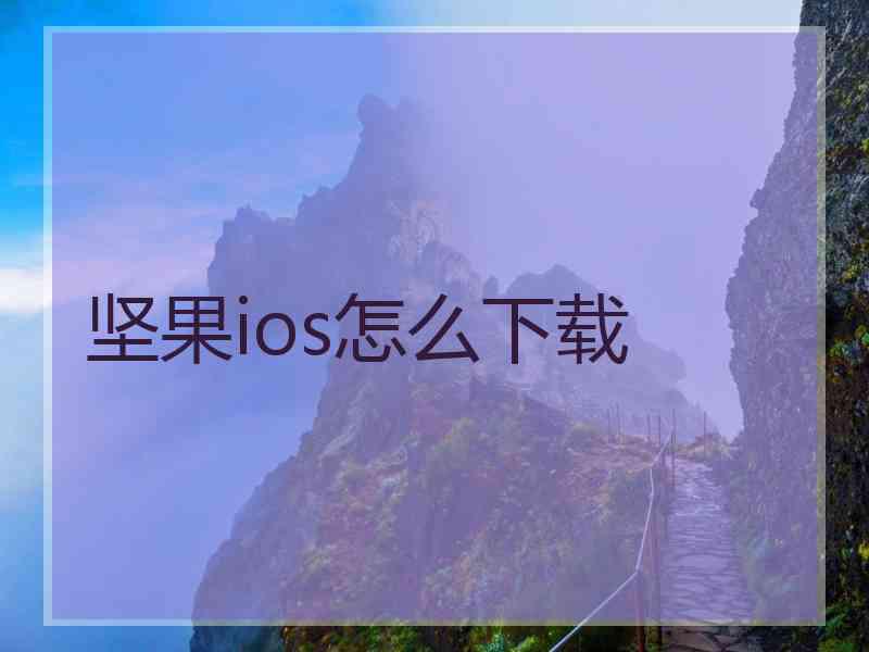 坚果ios怎么下载