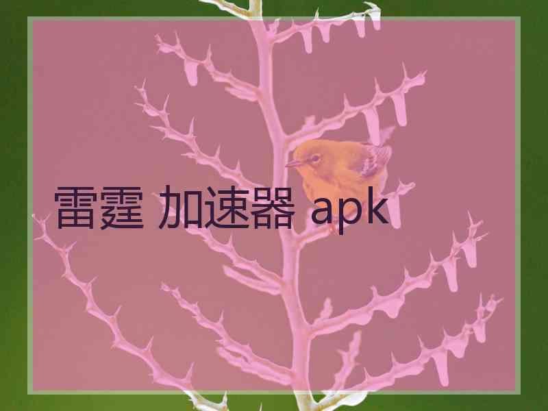 雷霆 加速器 apk