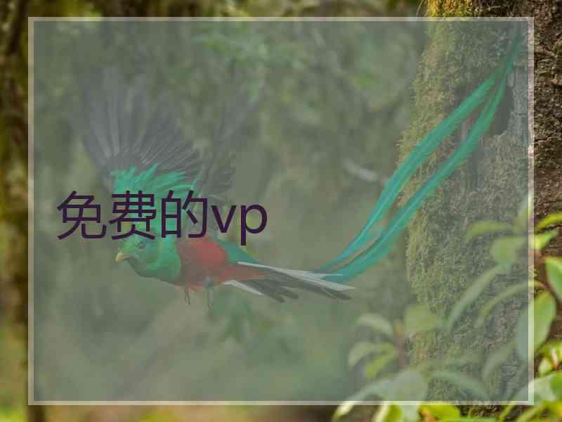 免费的vp