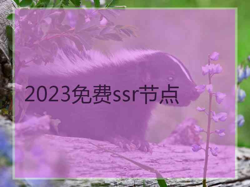 2023免费ssr节点
