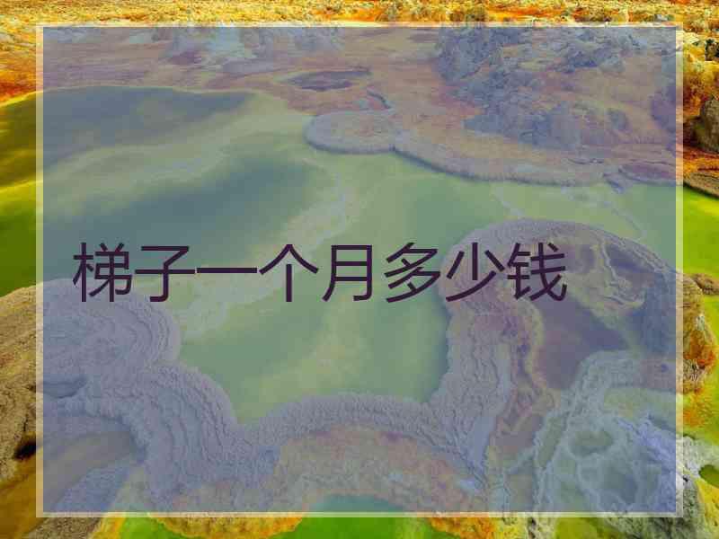 梯子一个月多少钱