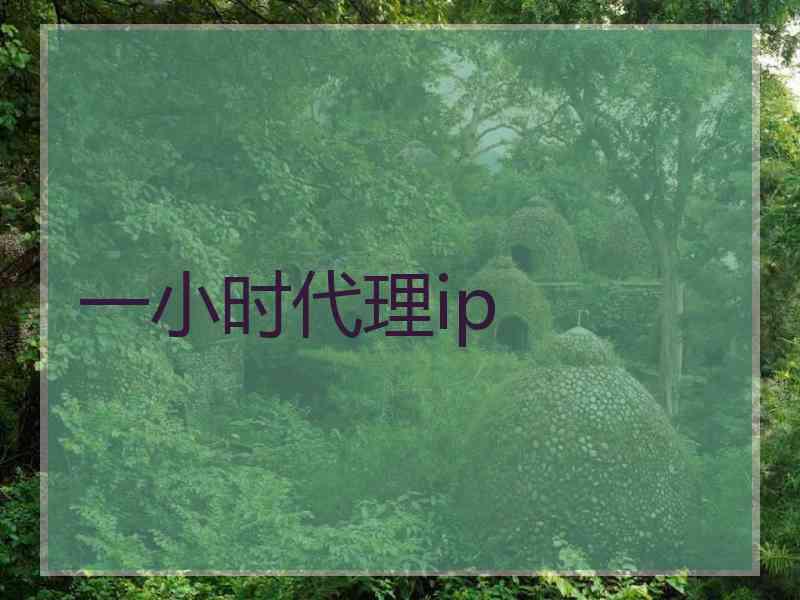 一小时代理ip