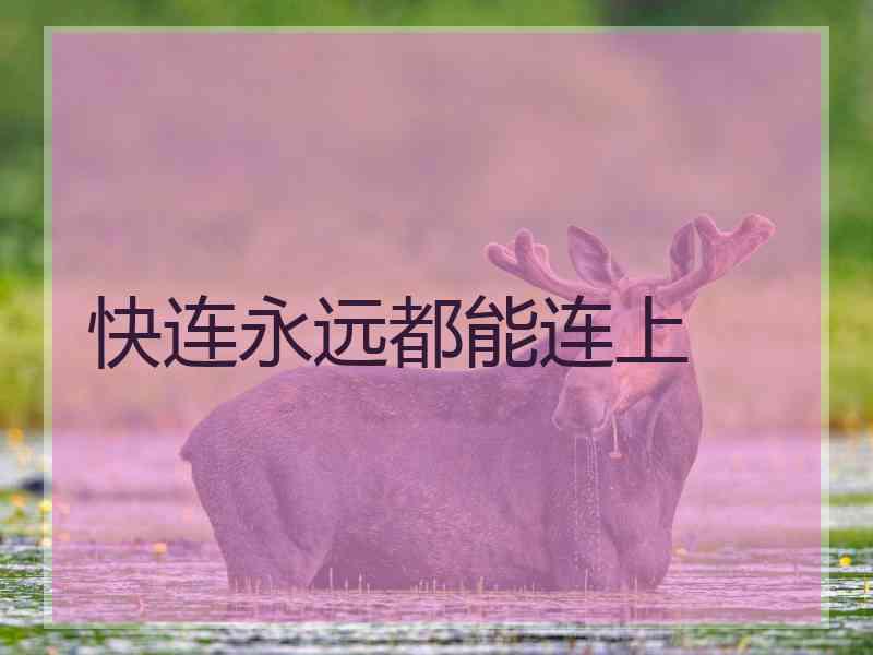 快连永远都能连上