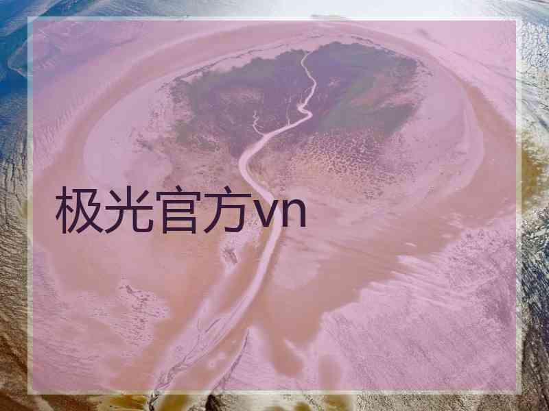 极光官方vn