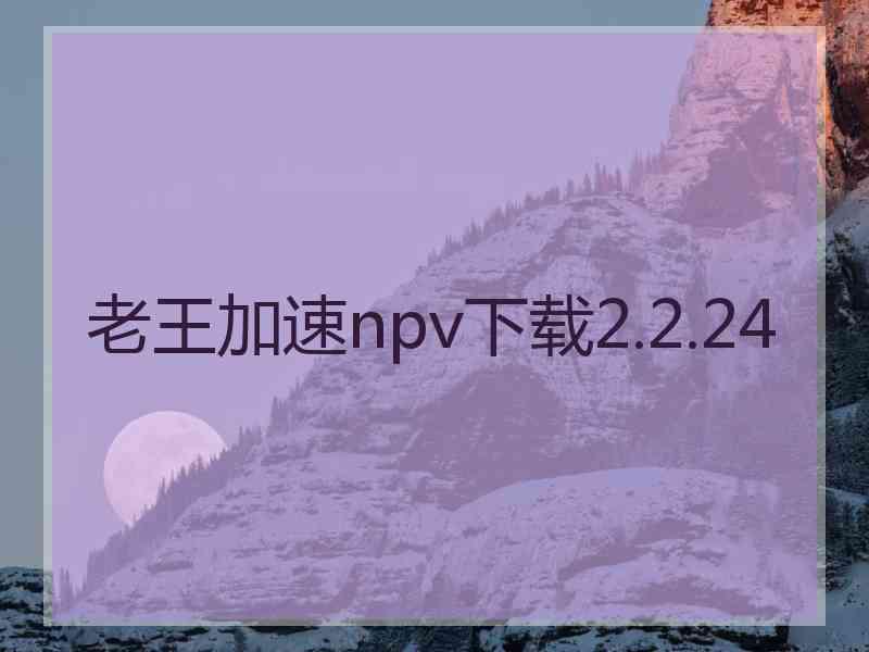 老王加速npv下载2.2.24