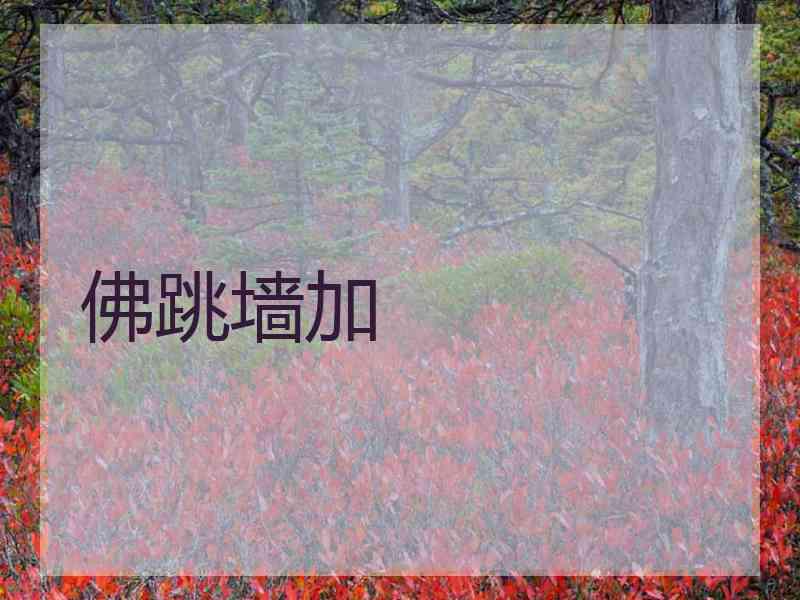 佛跳墙加
