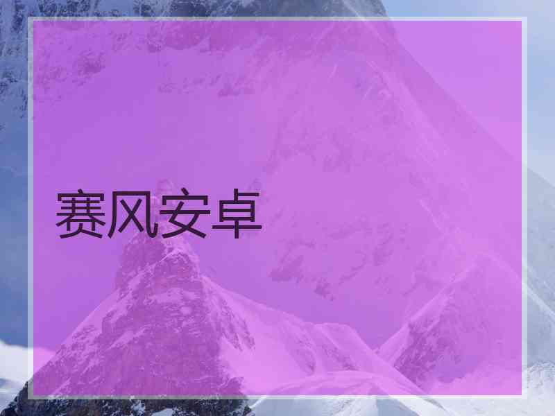 赛风安卓