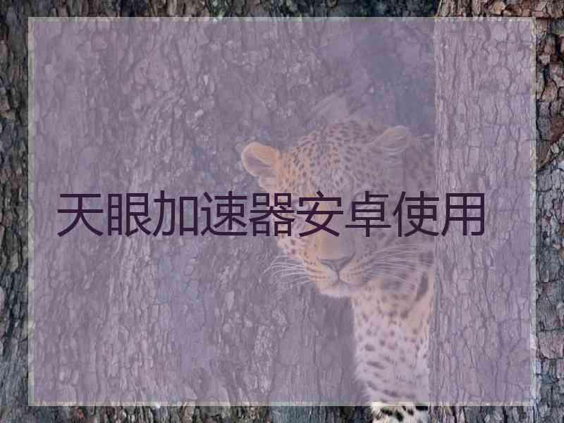 天眼加速器安卓使用