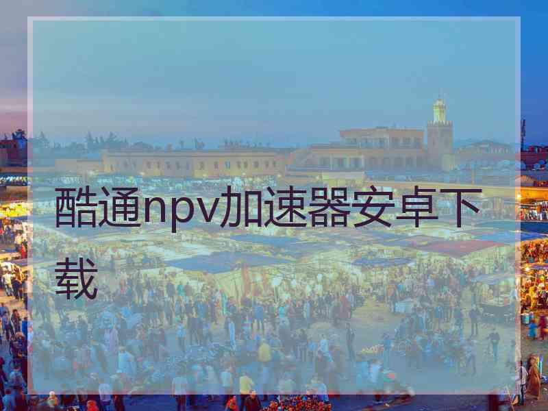 酷通npv加速器安卓下载