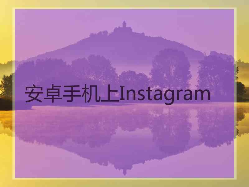 安卓手机上Instagram