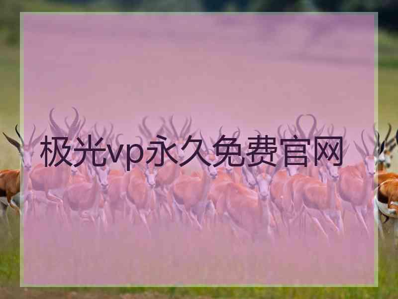 极光vp永久免费官网