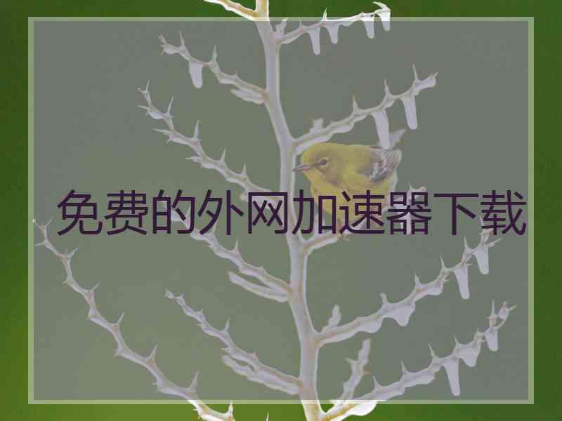 免费的外网加速器下载