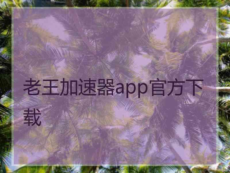 老王加速器app官方下载