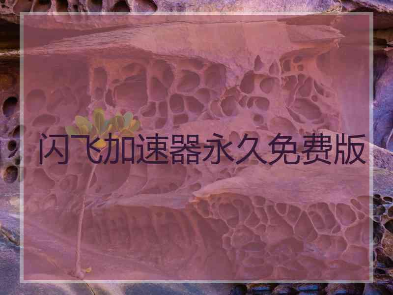 闪飞加速器永久免费版