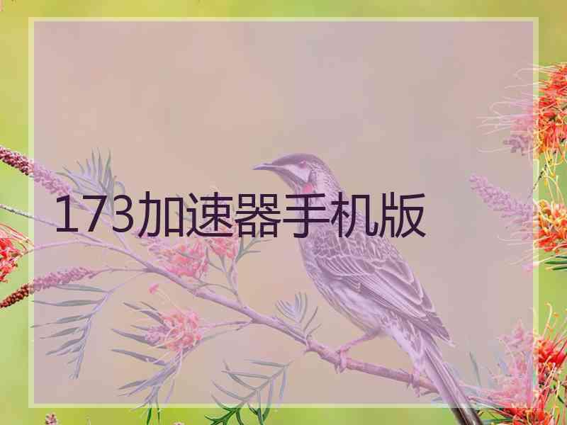 173加速器手机版