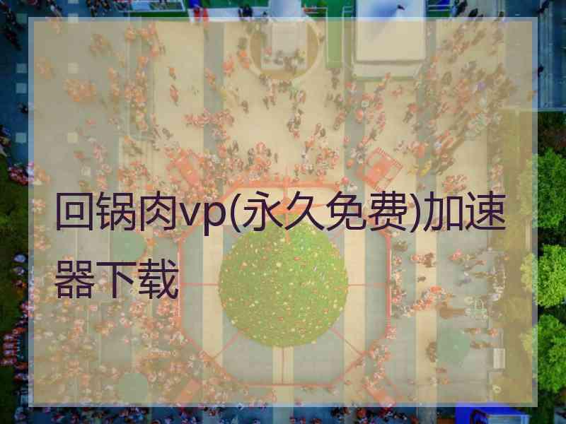 回锅肉vp(永久免费)加速器下载