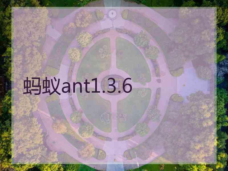 蚂蚁ant1.3.6