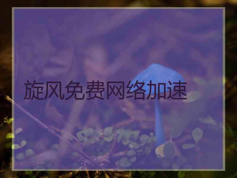 旋风免费网络加速
